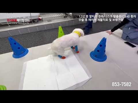 치료 영상 썸네일